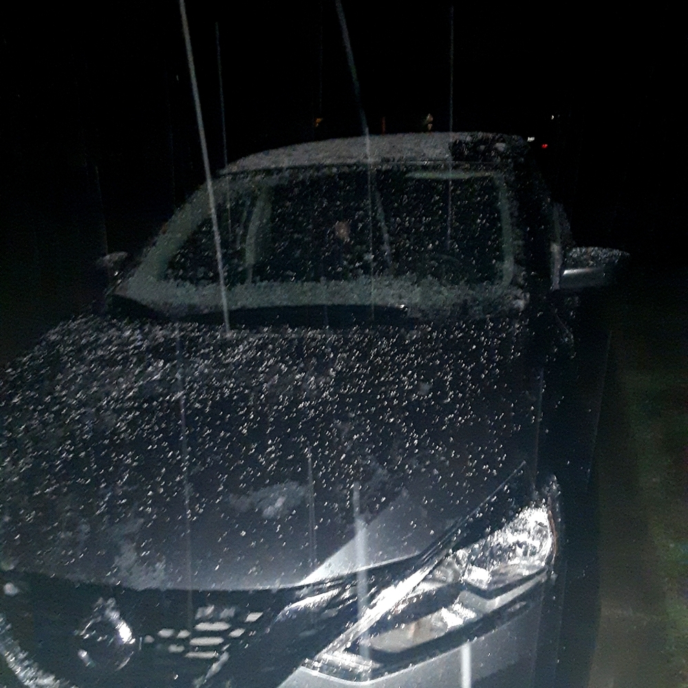 Meet your Posher, Nayeli